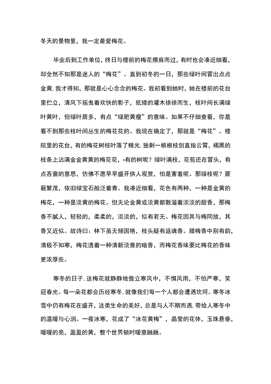 梅花开放的姿态描写.docx_第2页