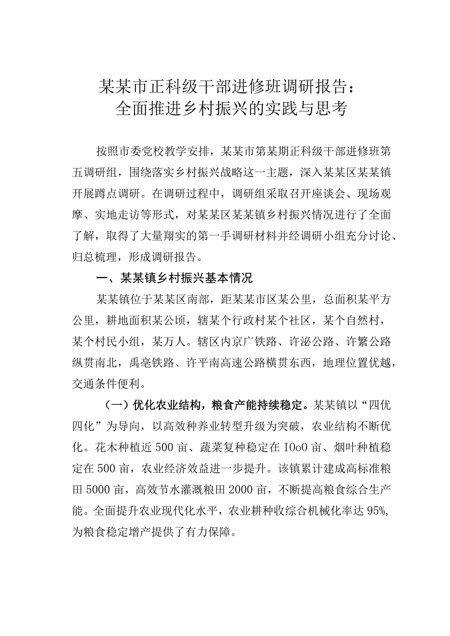 某某市正科级干部进修班调研报告：全面推进乡村振兴的实践与思考.docx_第1页