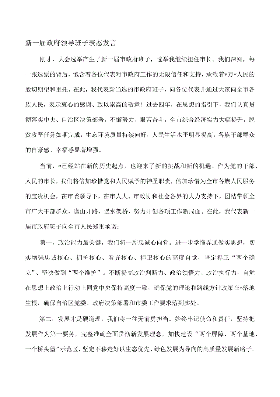 新一届政府领导班子表态发言.docx_第1页