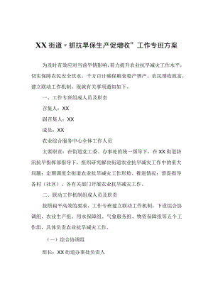 XX街道抓抗旱保生产促增收工作专班方案.docx