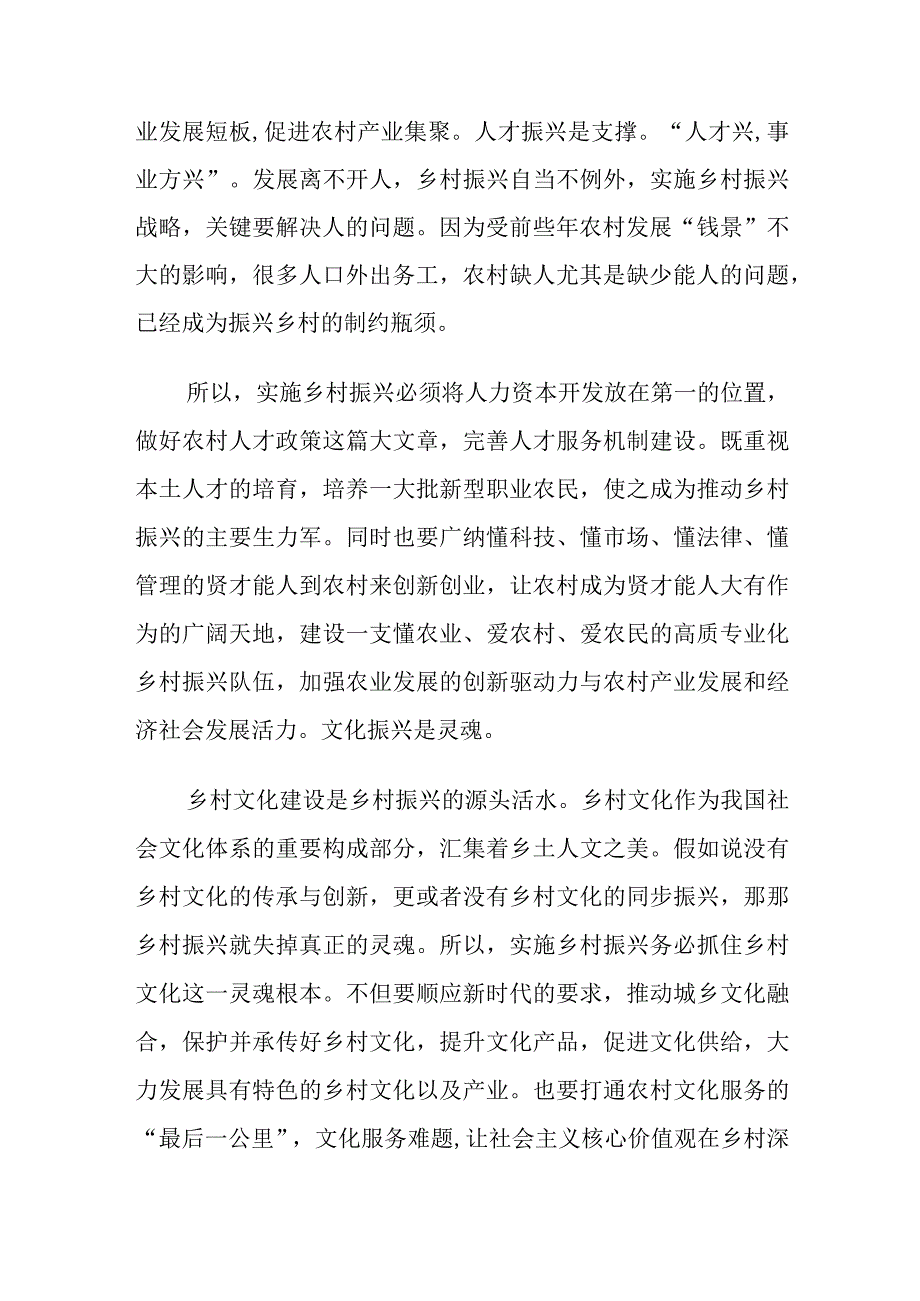 全面推进乡村振兴心得体会.docx_第2页