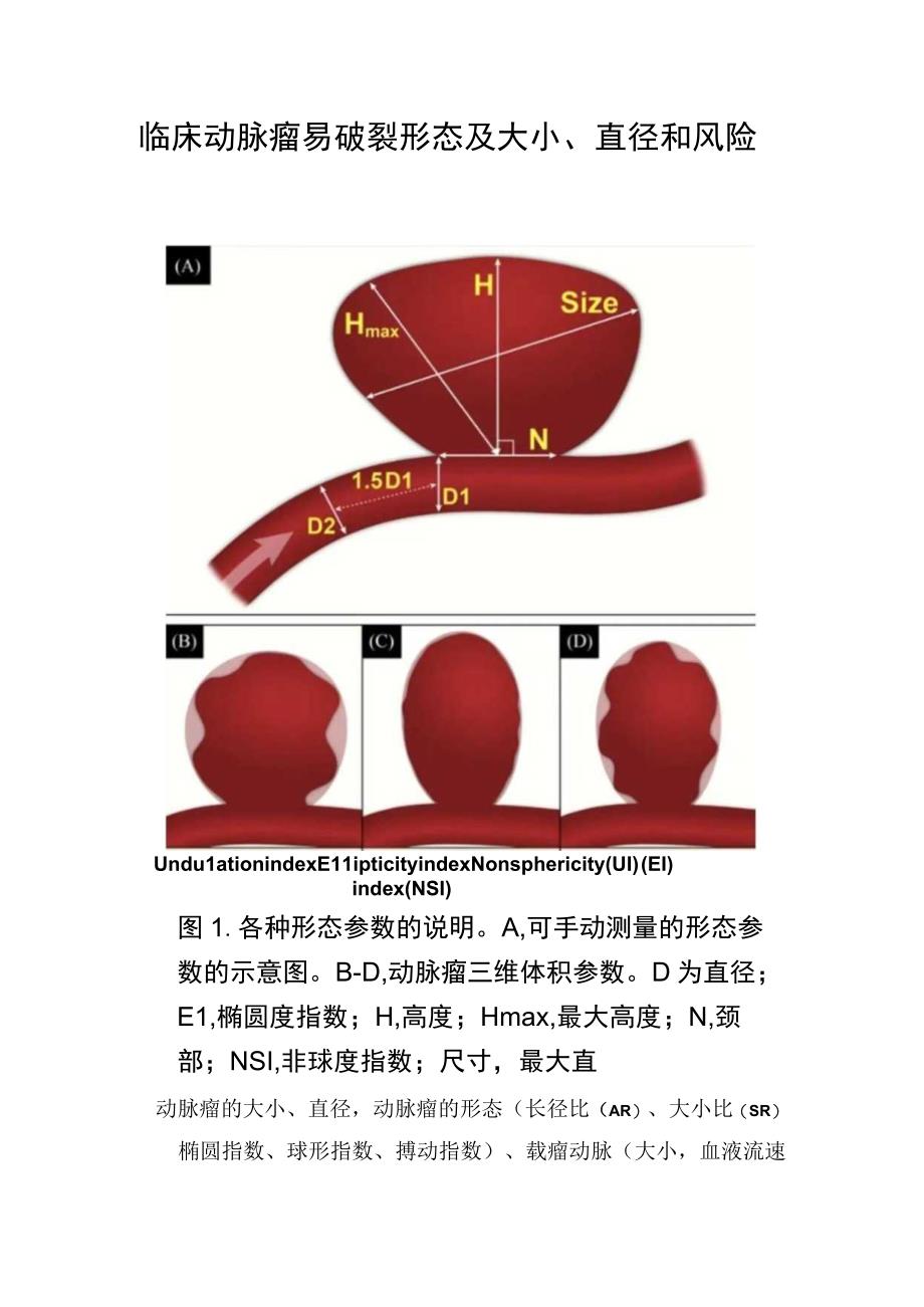 临床动脉瘤易破裂形态及大小直径和风险.docx_第1页