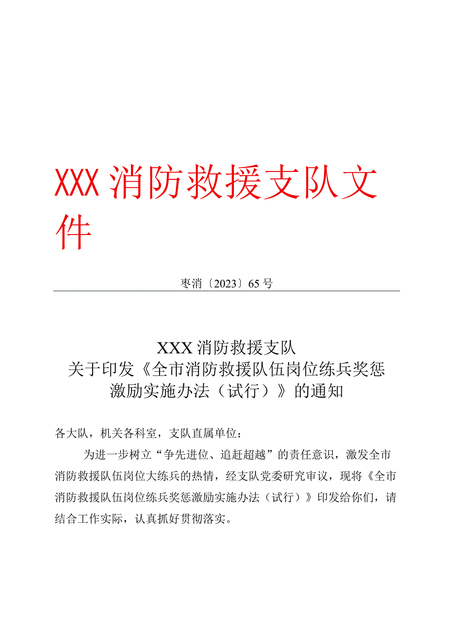 全市消防救援队伍岗位练兵奖惩方案.docx_第1页