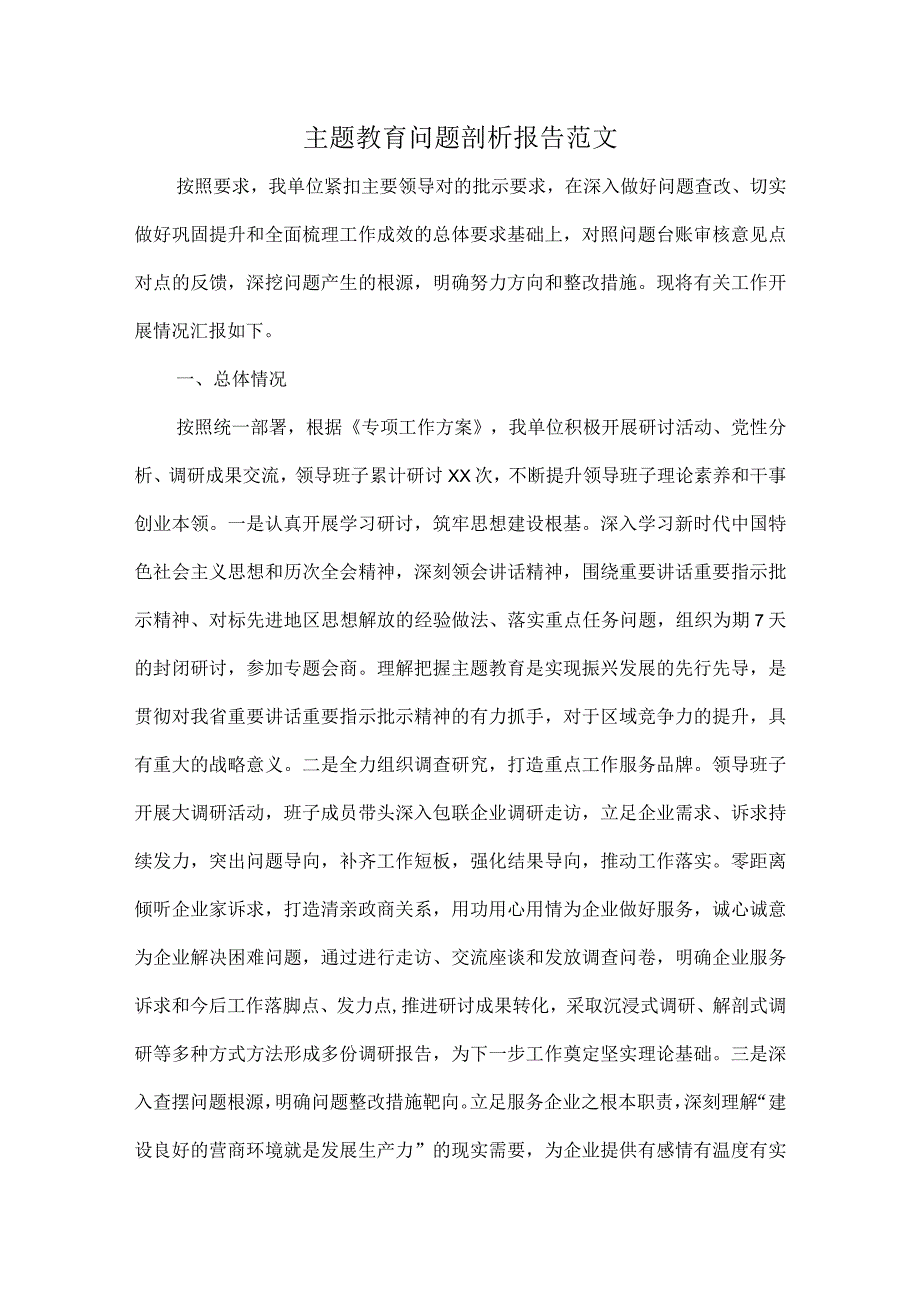 主题教育问题剖析报告范文.docx_第1页