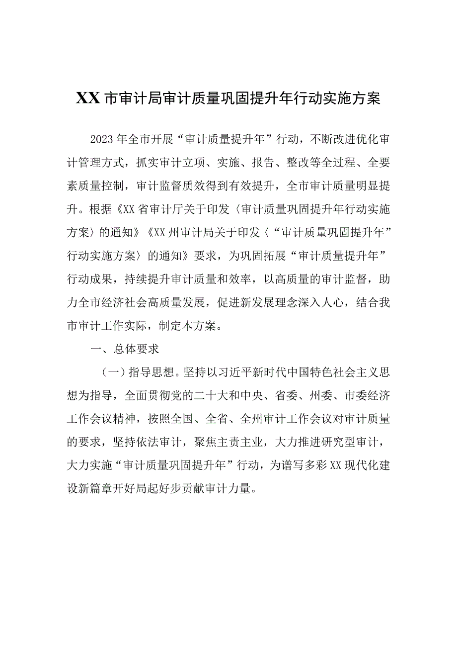 XX市审计局审计质量巩固提升年行动实施方案.docx_第1页