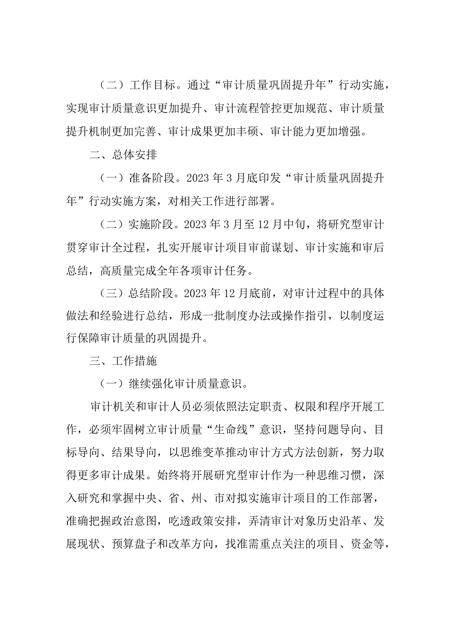 XX市审计局审计质量巩固提升年行动实施方案.docx_第2页