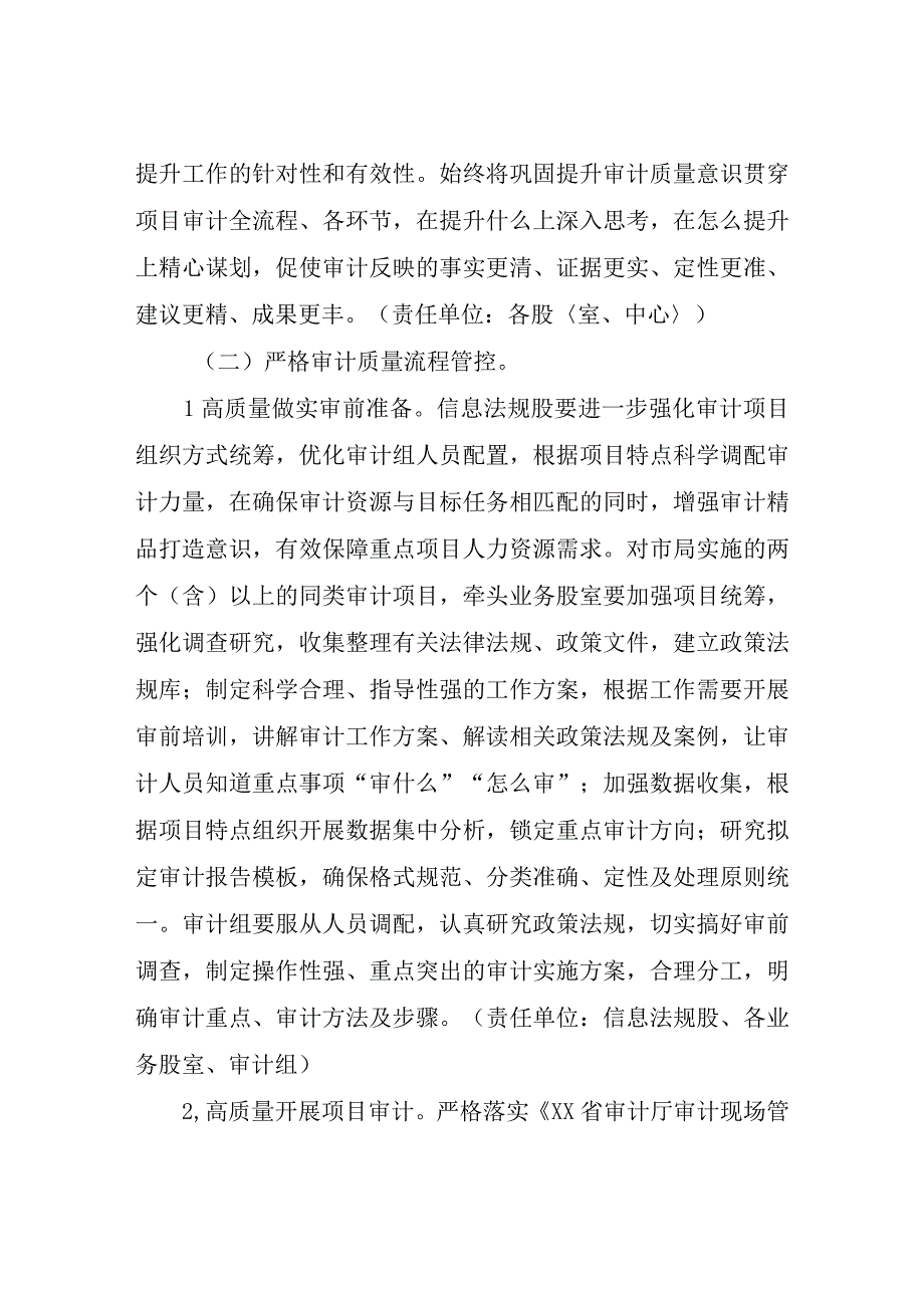 XX市审计局审计质量巩固提升年行动实施方案.docx_第3页