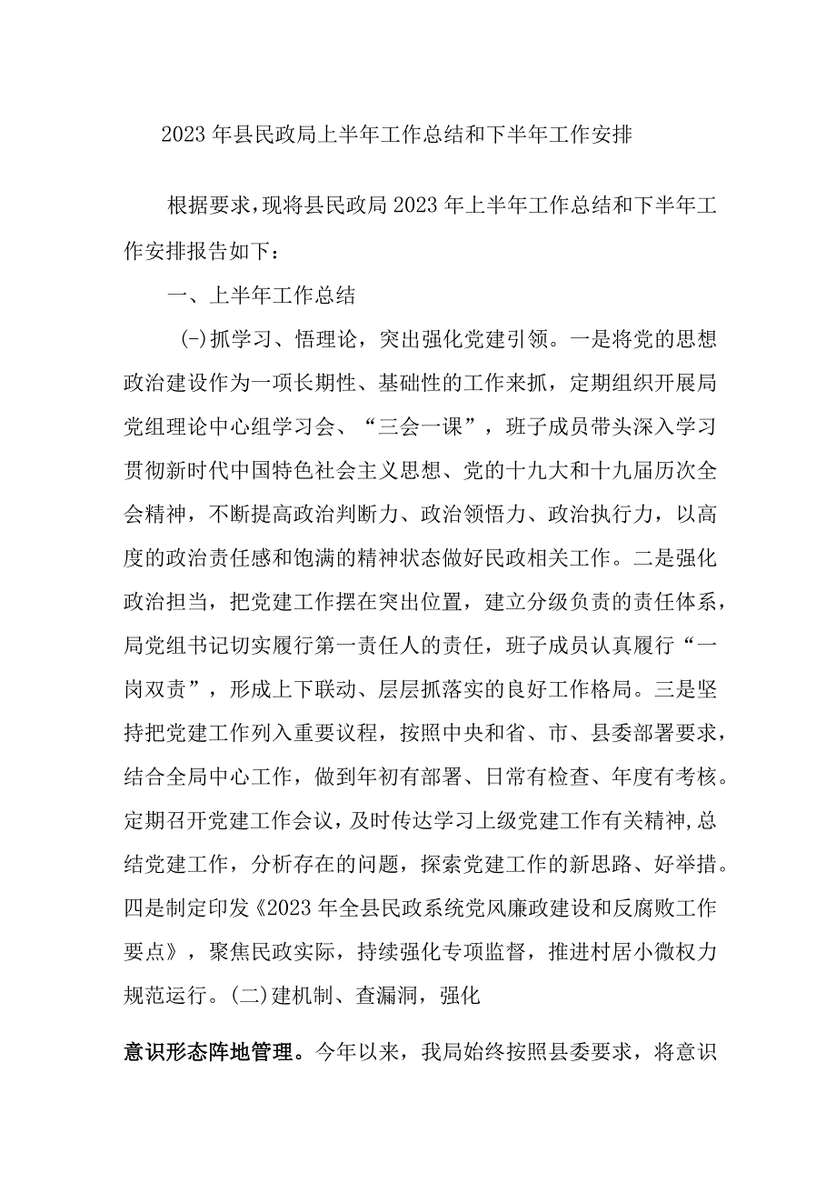 2023年县民政局上半年工作总结和下半年工作安排.docx_第1页