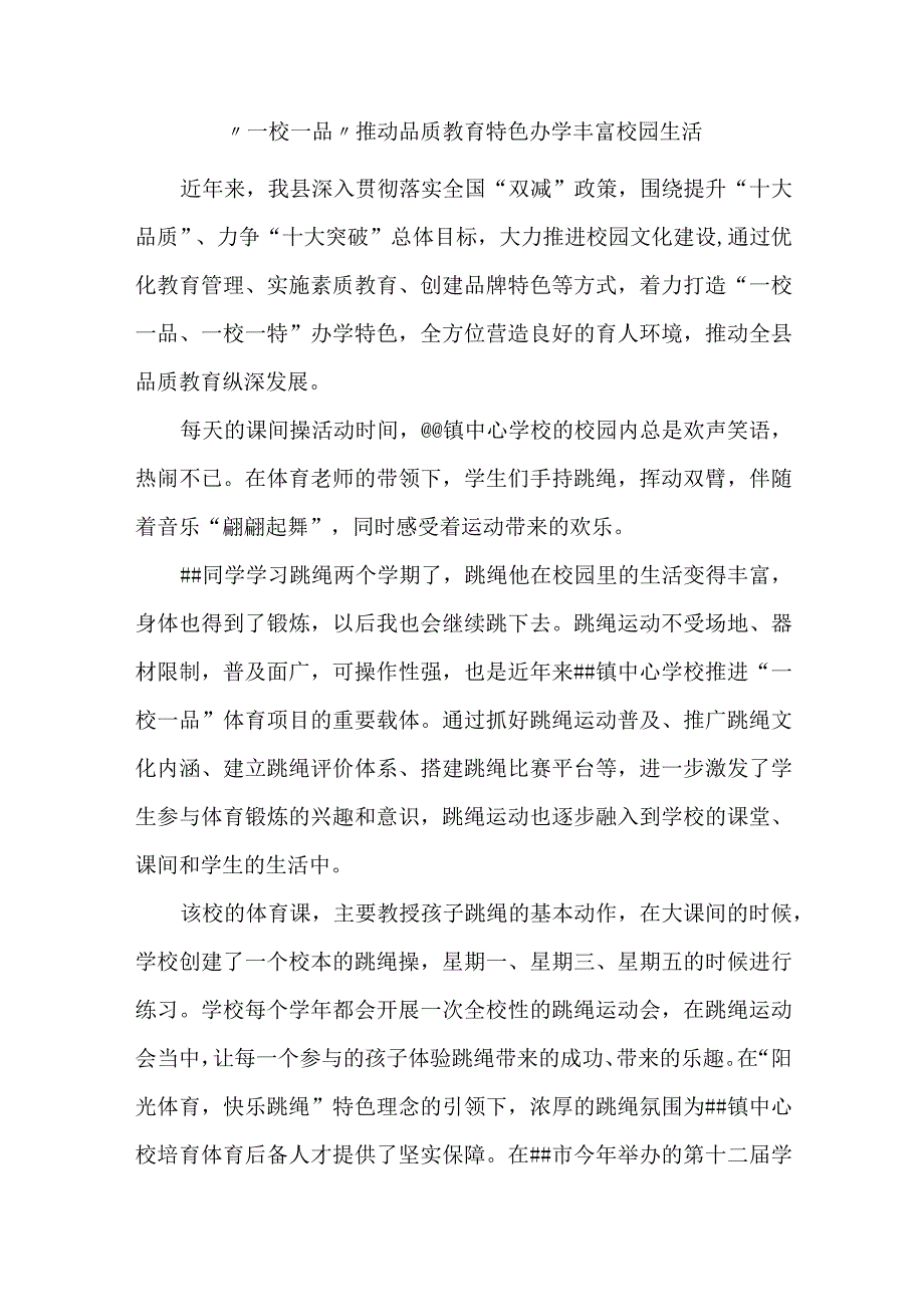 一校一品 经验总结.docx_第1页