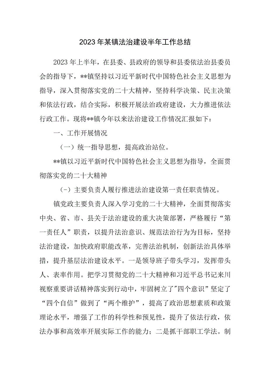 2023年某镇法治建设半年工作总结和2023年镇党委书记履行推进法治建设述职报告.docx_第2页