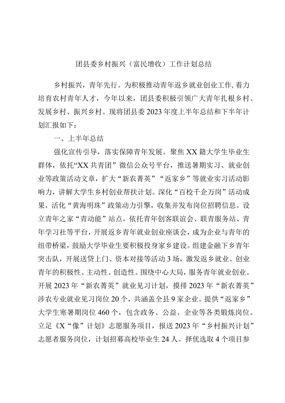 团县委乡村振兴富民增收工作计划总结.docx_第1页