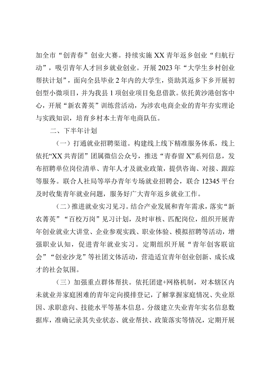 团县委乡村振兴富民增收工作计划总结.docx_第2页