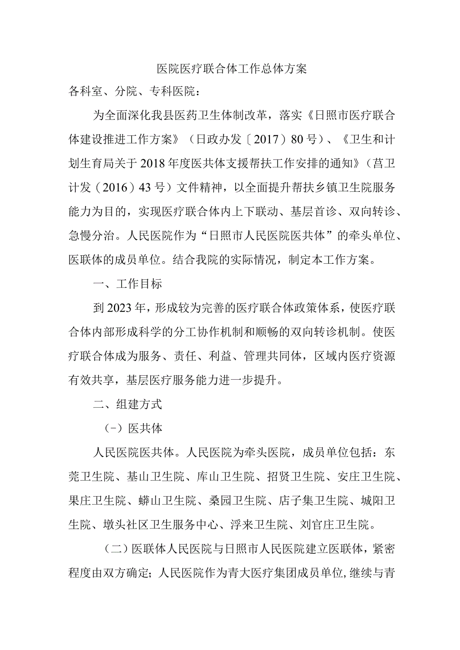 医院医疗联合体工作总体方案.docx_第1页