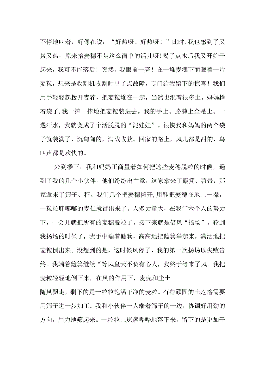 劳动作文《记我的一次拾麦穗》.docx_第2页