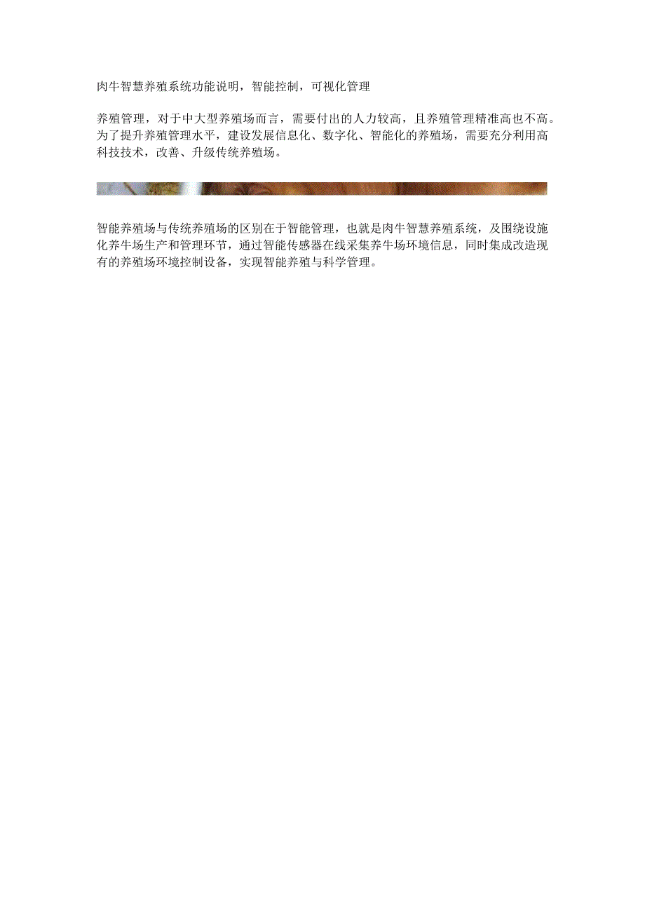 肉牛智慧养殖系统功能说明.docx_第1页