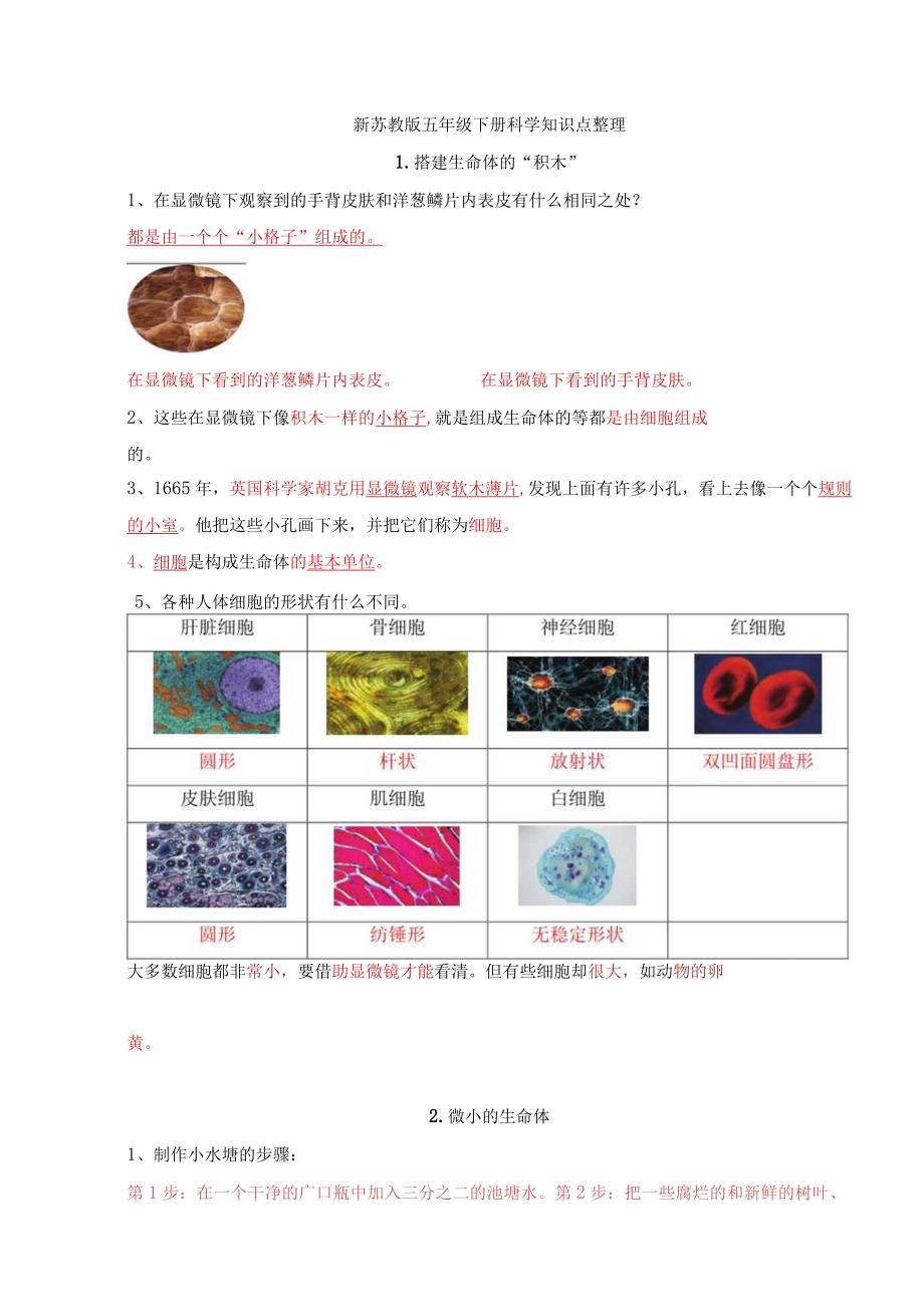 苏教版五年级下册科学全册知识点.docx_第1页