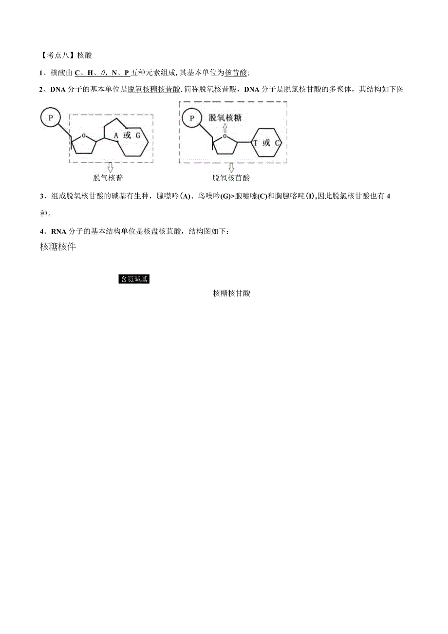 教学：第一章 细胞的分子组成答案版.docx_第3页