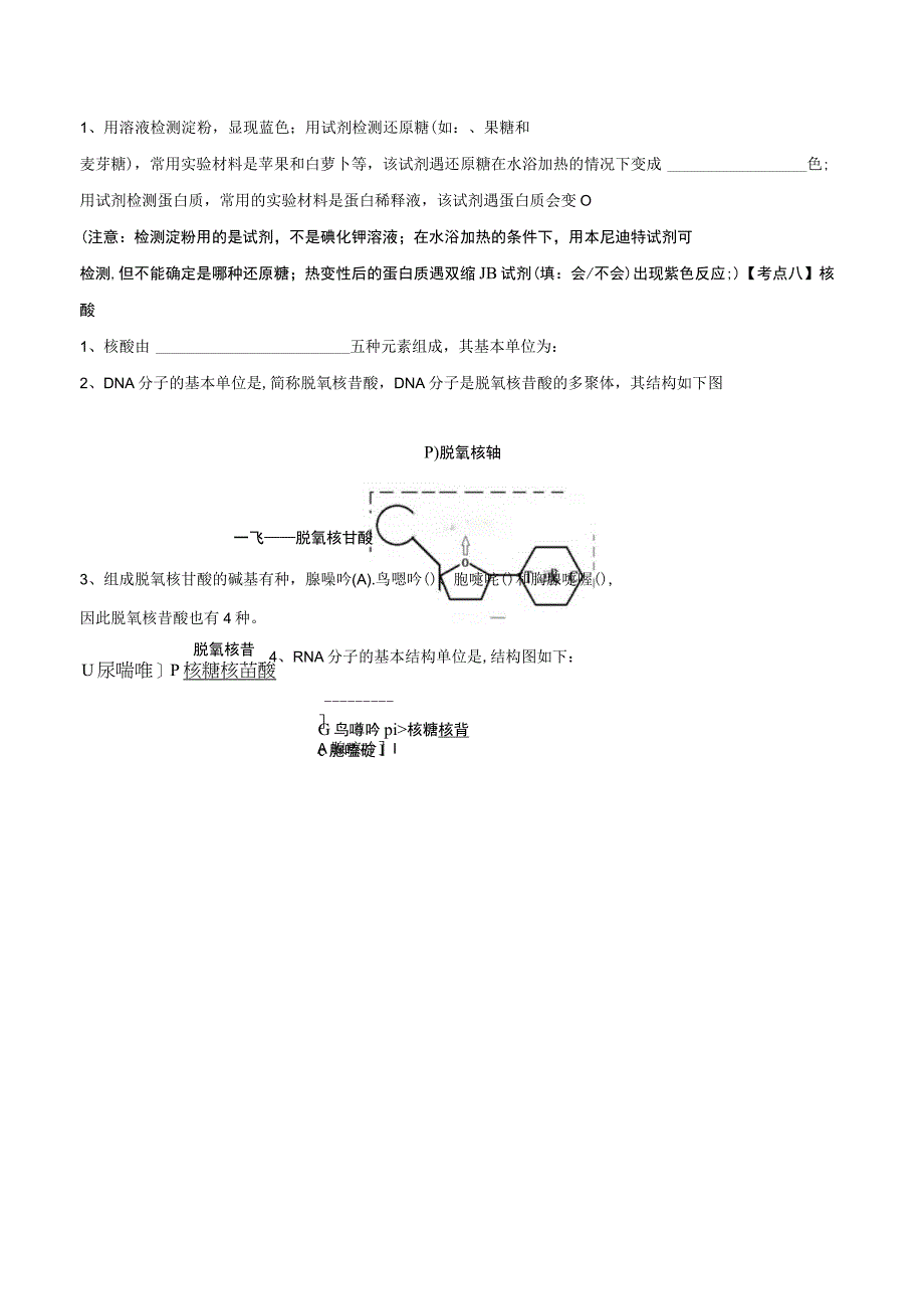 教学：第一章 细胞的分子组成.docx_第3页