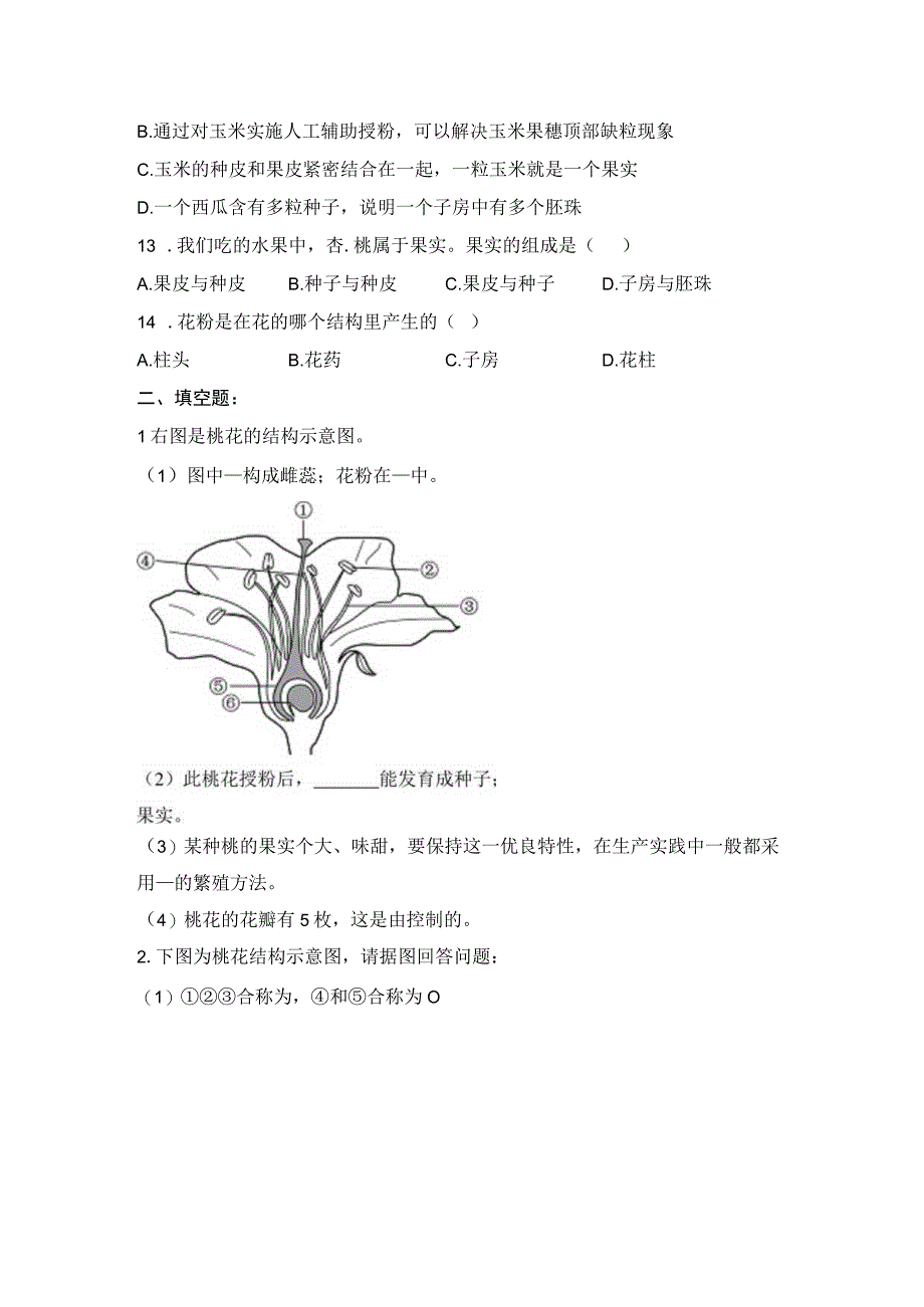 第3节生殖器官的生长.docx_第2页