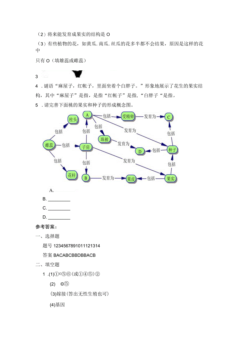 第3节生殖器官的生长.docx_第3页