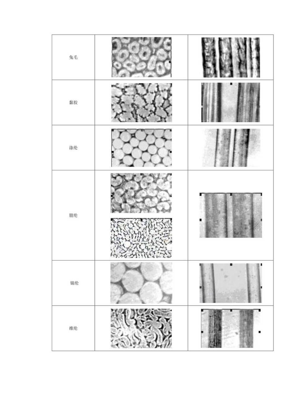 显微镜法鉴别纺织纤维.docx_第3页