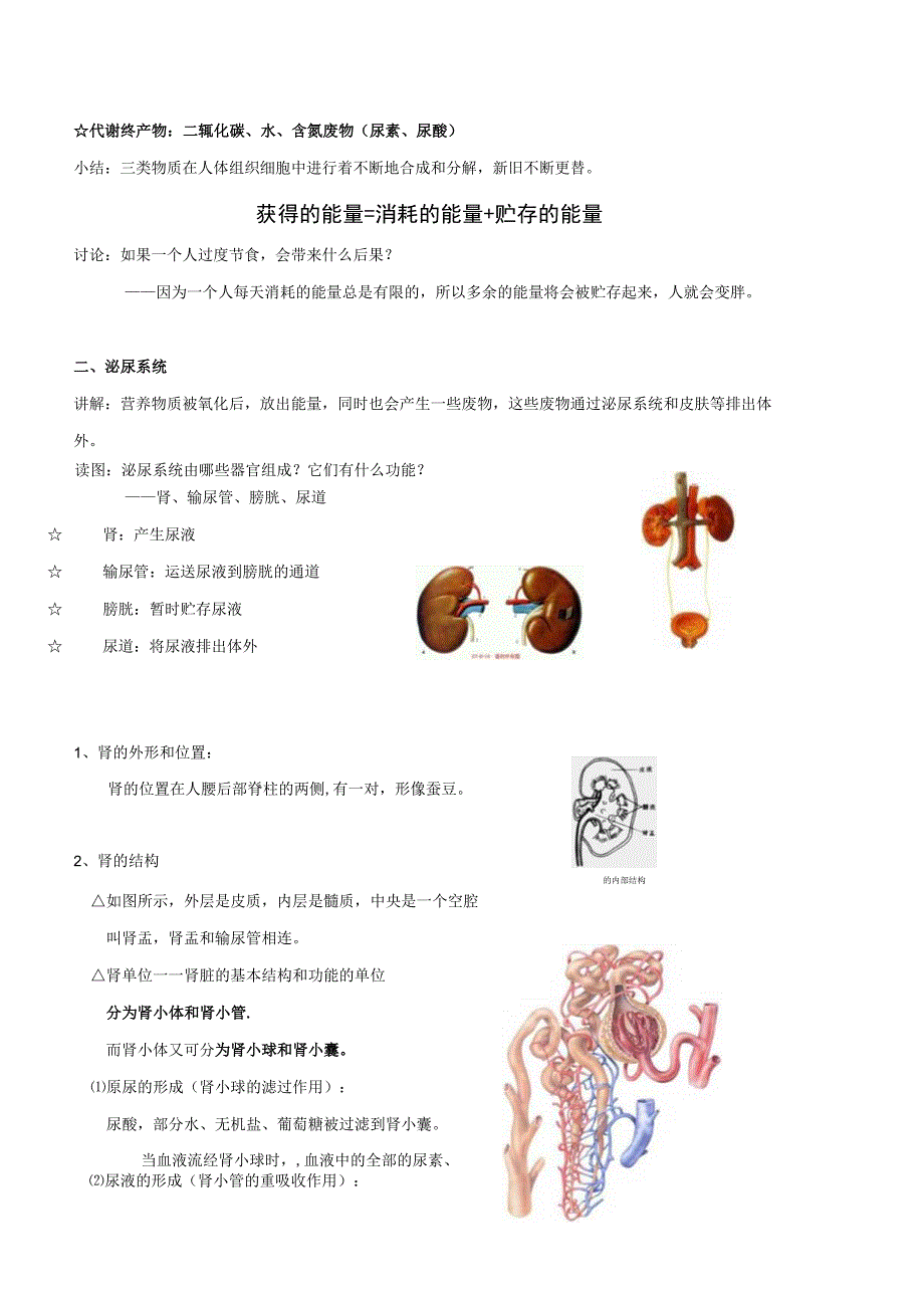 浙教版科学九年级上册教案 第4章 代谢与平衡 第5节 体内物质的动态平衡.docx_第2页