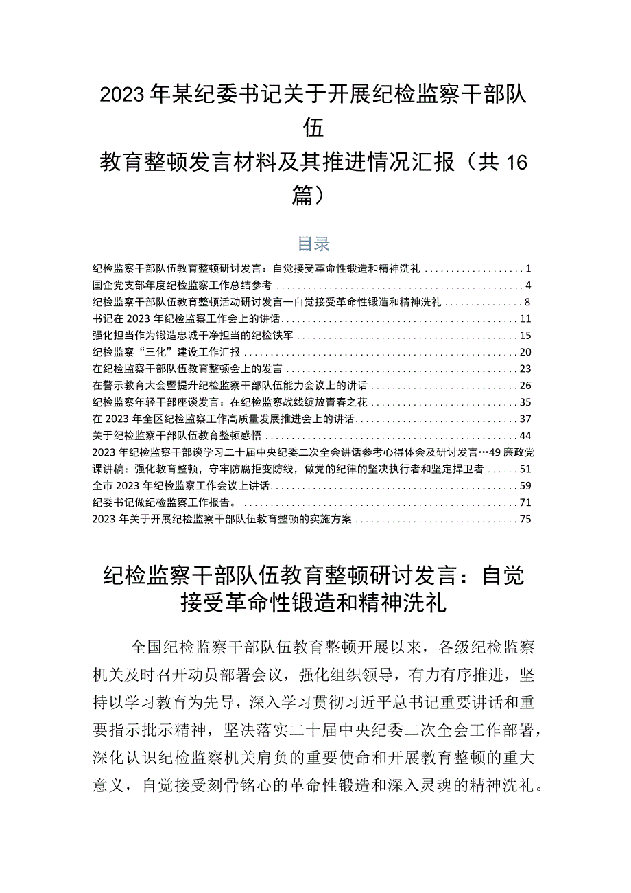 2023年某纪委书记关于开展纪检监察干部队伍教育整顿发言材料及其推进情况汇报共16篇.docx_第1页