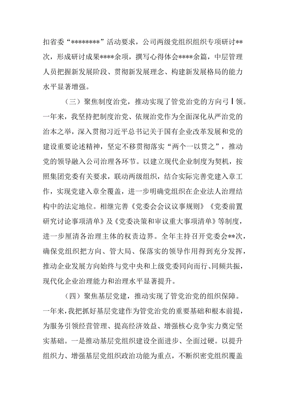 公司党委书记履行管党治党责任报告.docx_第3页