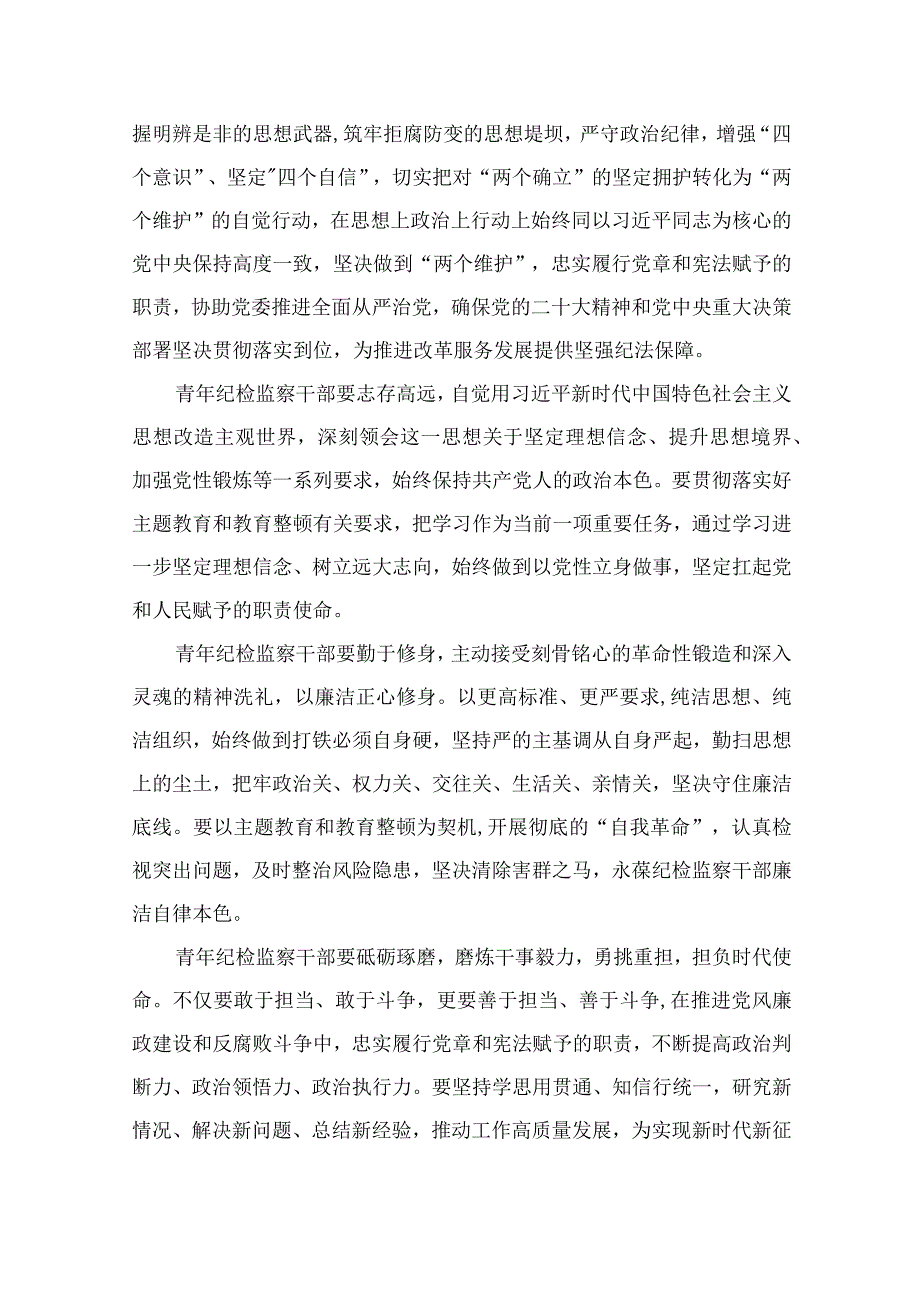 2023纪检监察干部在纪检监察干部队伍教育整顿研讨交流会上的发言提纲精选10篇.docx_第2页