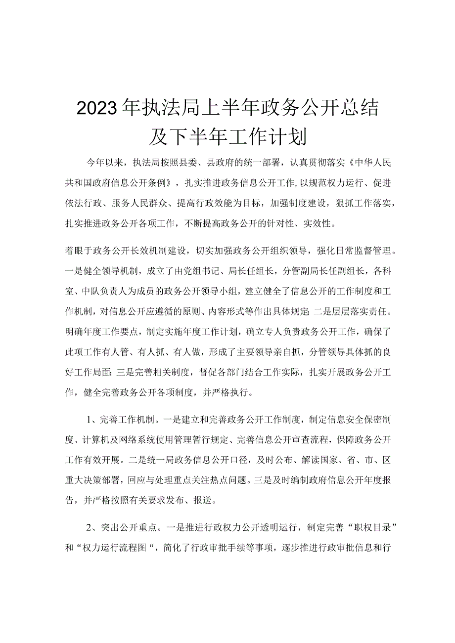 2023年执法局上半年政务公开总结及下半年工作计划.docx_第1页