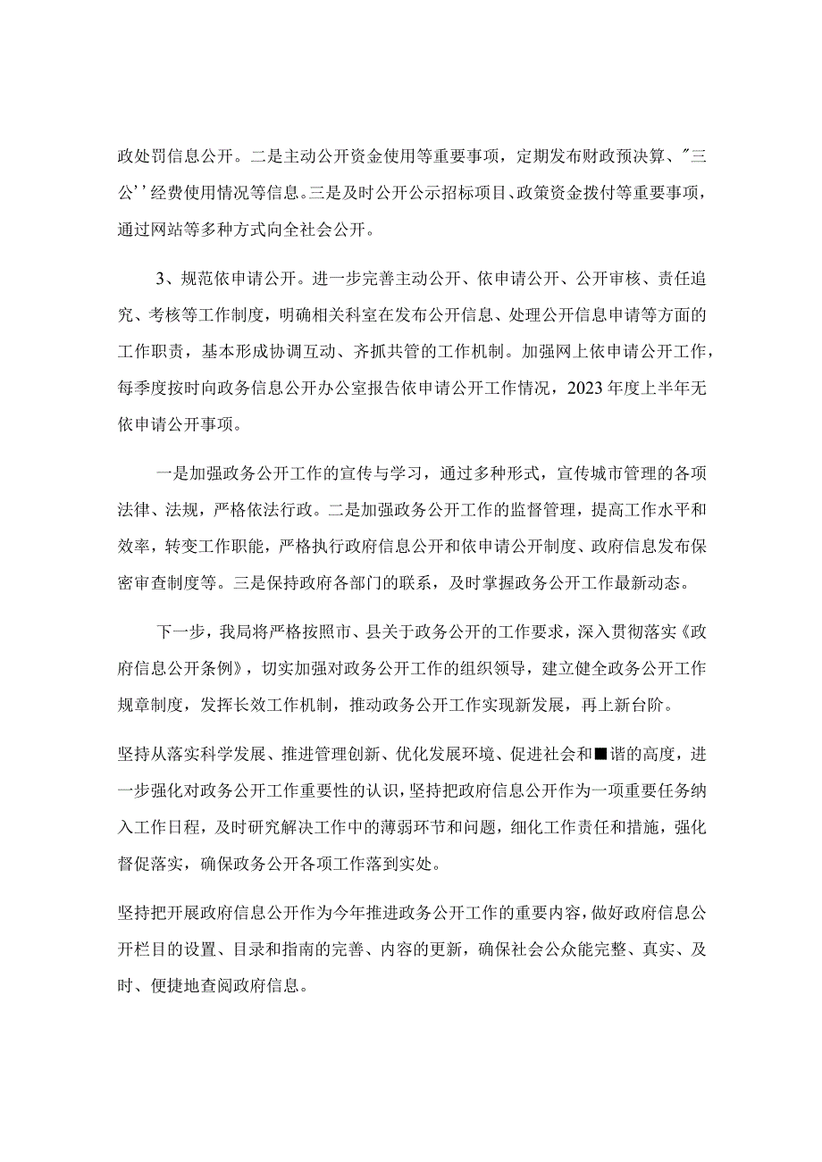 2023年执法局上半年政务公开总结及下半年工作计划.docx_第2页