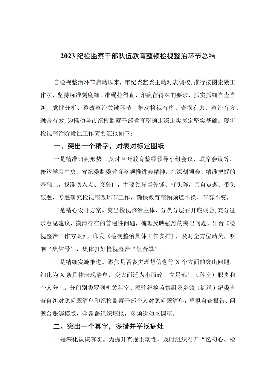 2023纪检监察干部队伍教育整顿检视整治环节总结精选10篇.docx_第1页