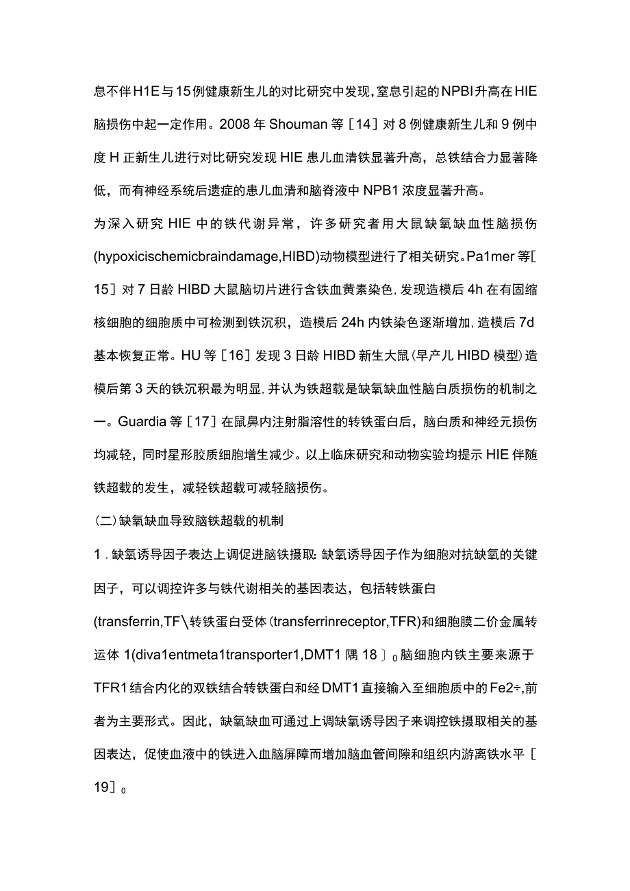 2023新生儿缺氧缺血性脑病与铁超载研究进展.docx_第3页