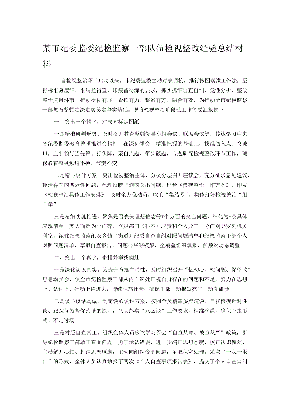 某市纪委监委纪检监察干部队伍检视整改经验总结材料.docx_第1页