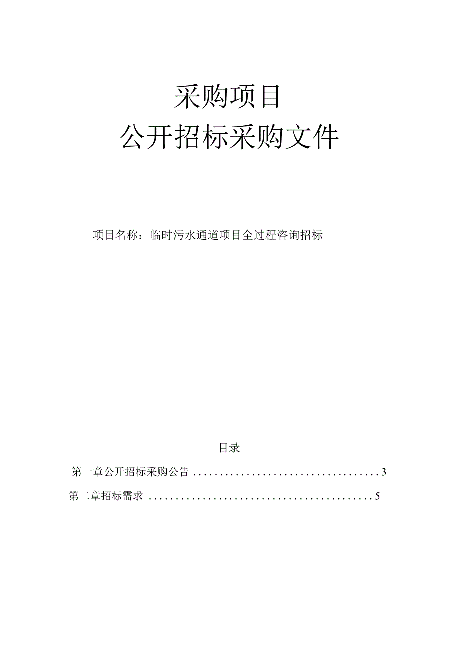 临时污水通道项目全过程咨询招标招标文件.docx_第1页