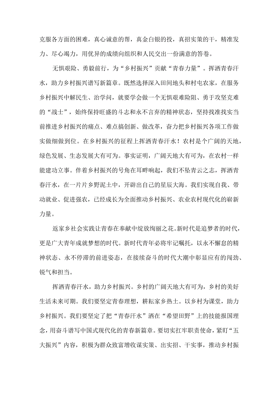 乡村振兴青春建功行动 我眼中的乡村振兴主题 征文.docx_第2页