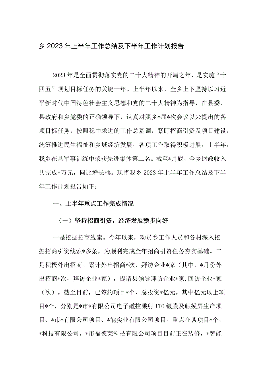 乡镇2023年上半年工作总结及下半年工作计划报告.docx_第1页