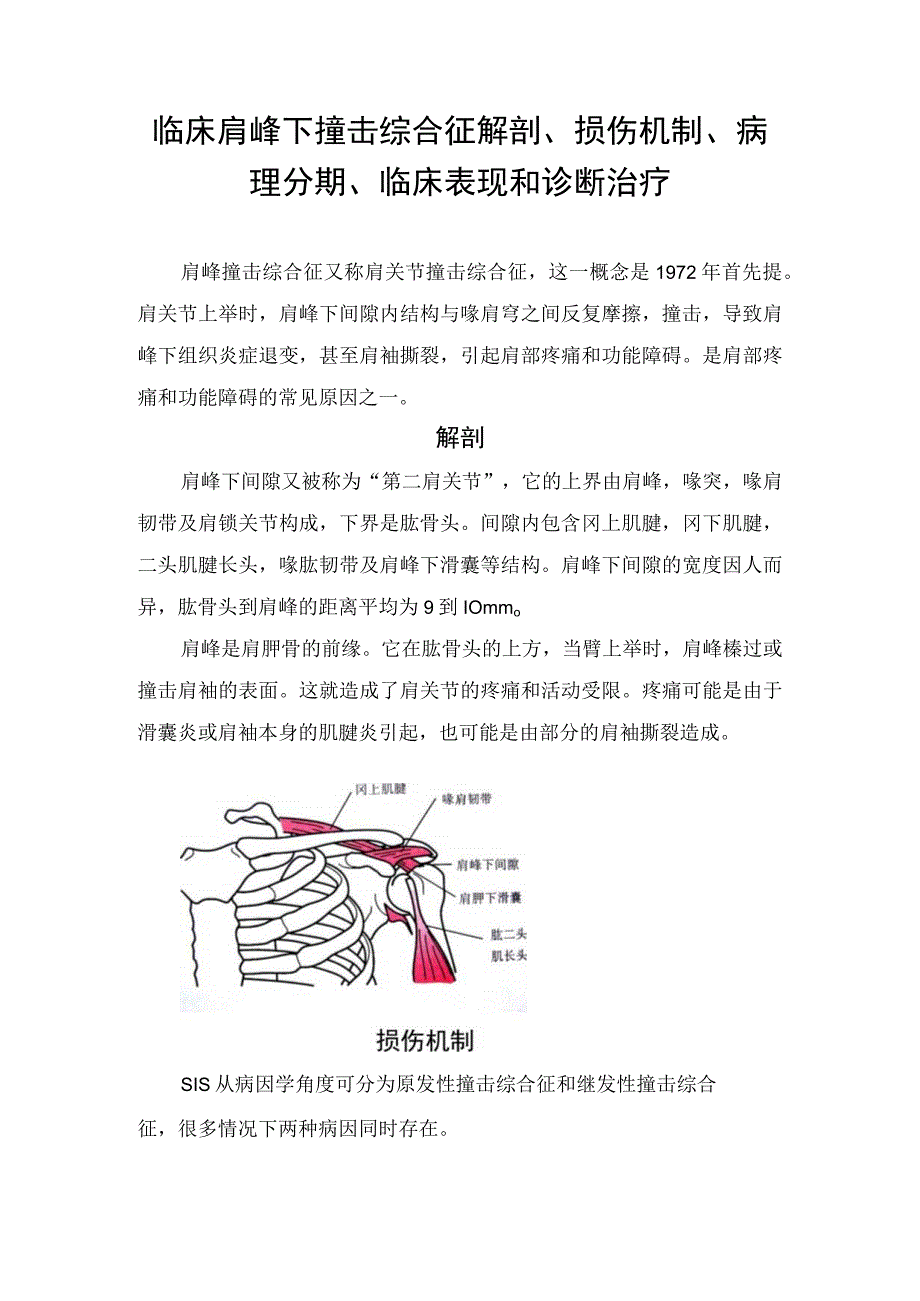 临床肩峰下撞击综合征解剖损伤机制病理分期临床表现和诊断治疗.docx_第1页