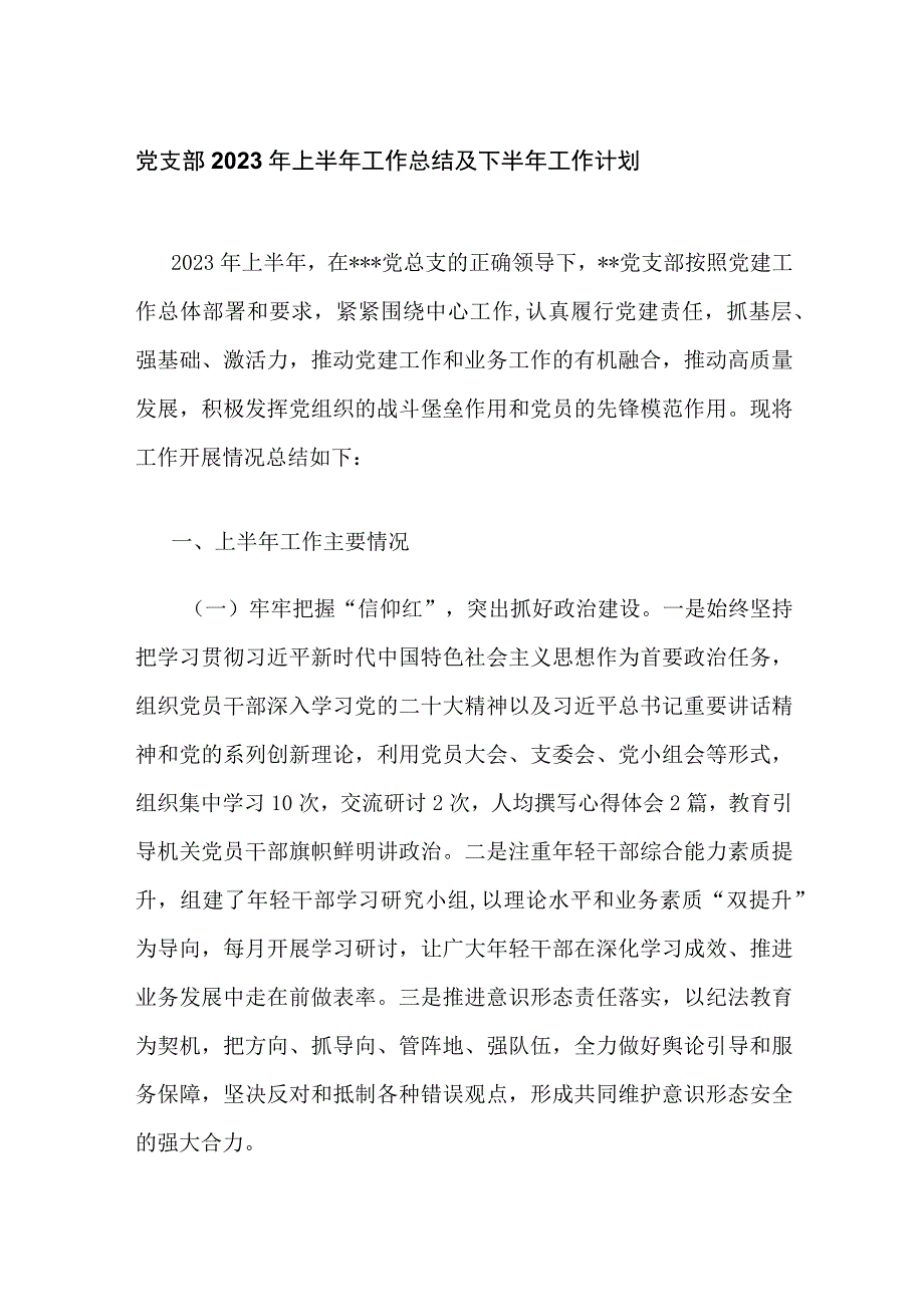 党支部2023年上半年工作总结及下半年工作计划3篇.docx_第1页