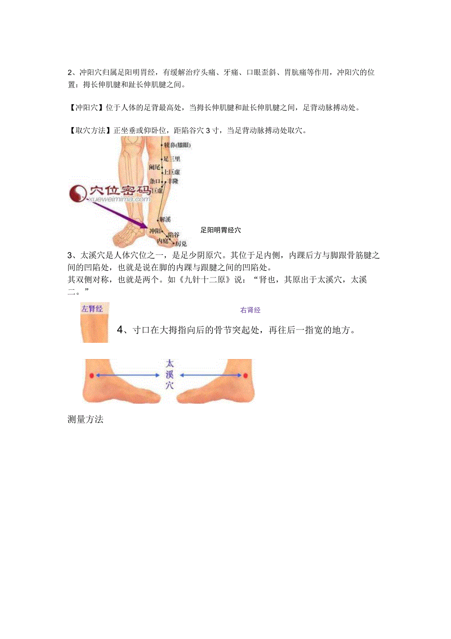 人迎寸口冲阳太溪部位.docx_第2页