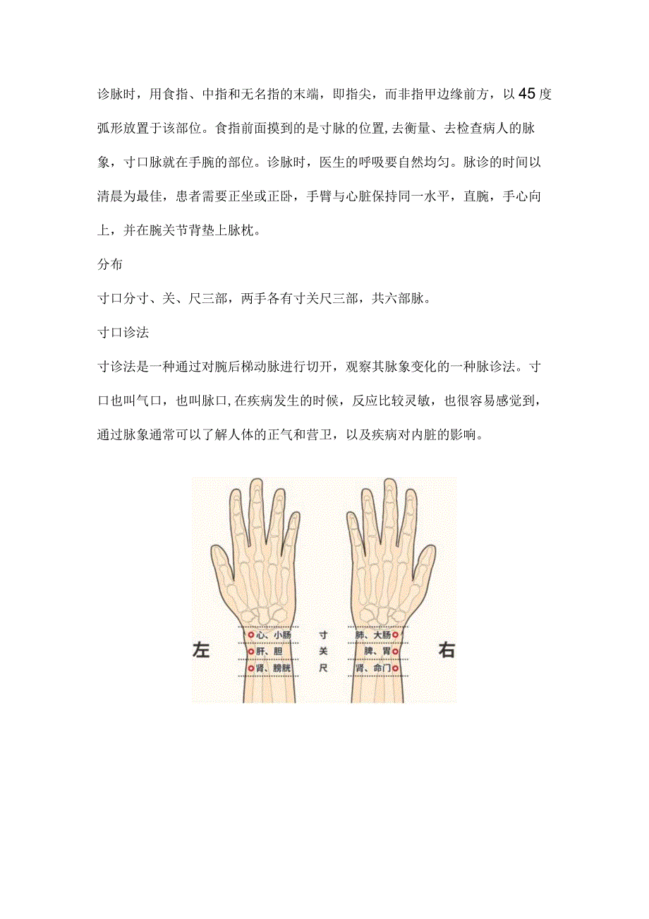 人迎寸口冲阳太溪部位.docx_第3页