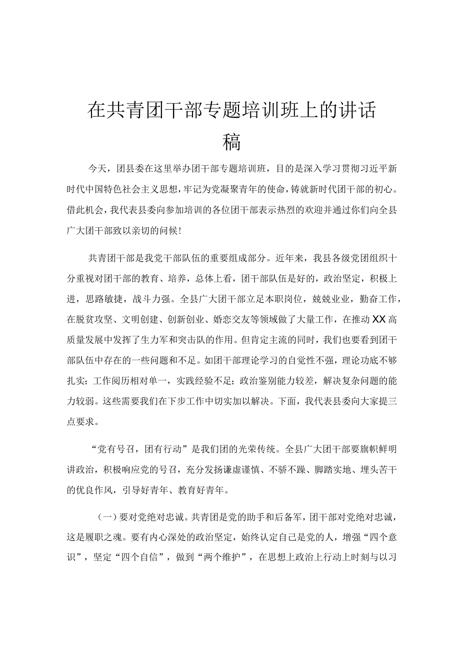 在共青团干部专题培训班上的讲话稿.docx_第1页