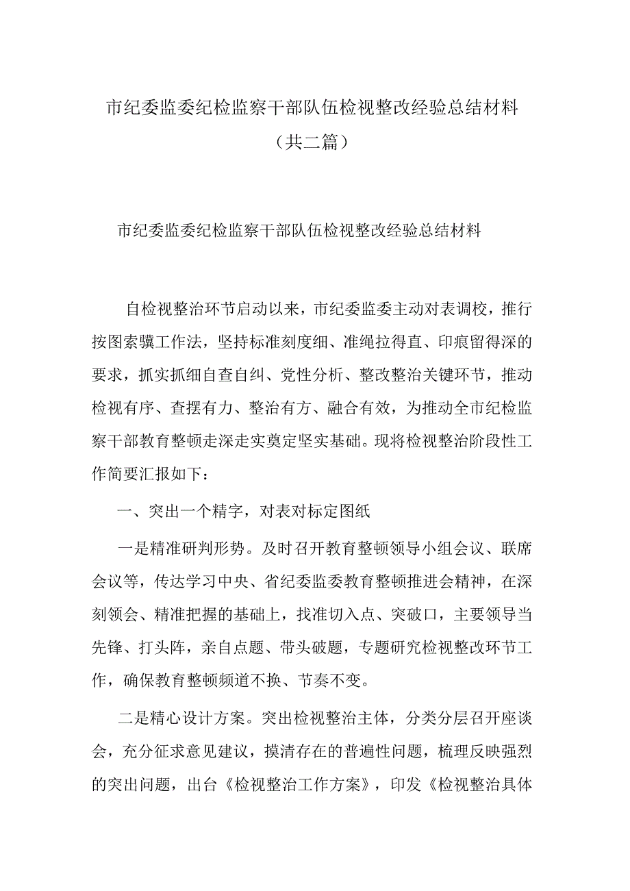 市纪委监委纪检监察干部队伍检视整改经验总结材料共二篇.docx_第1页