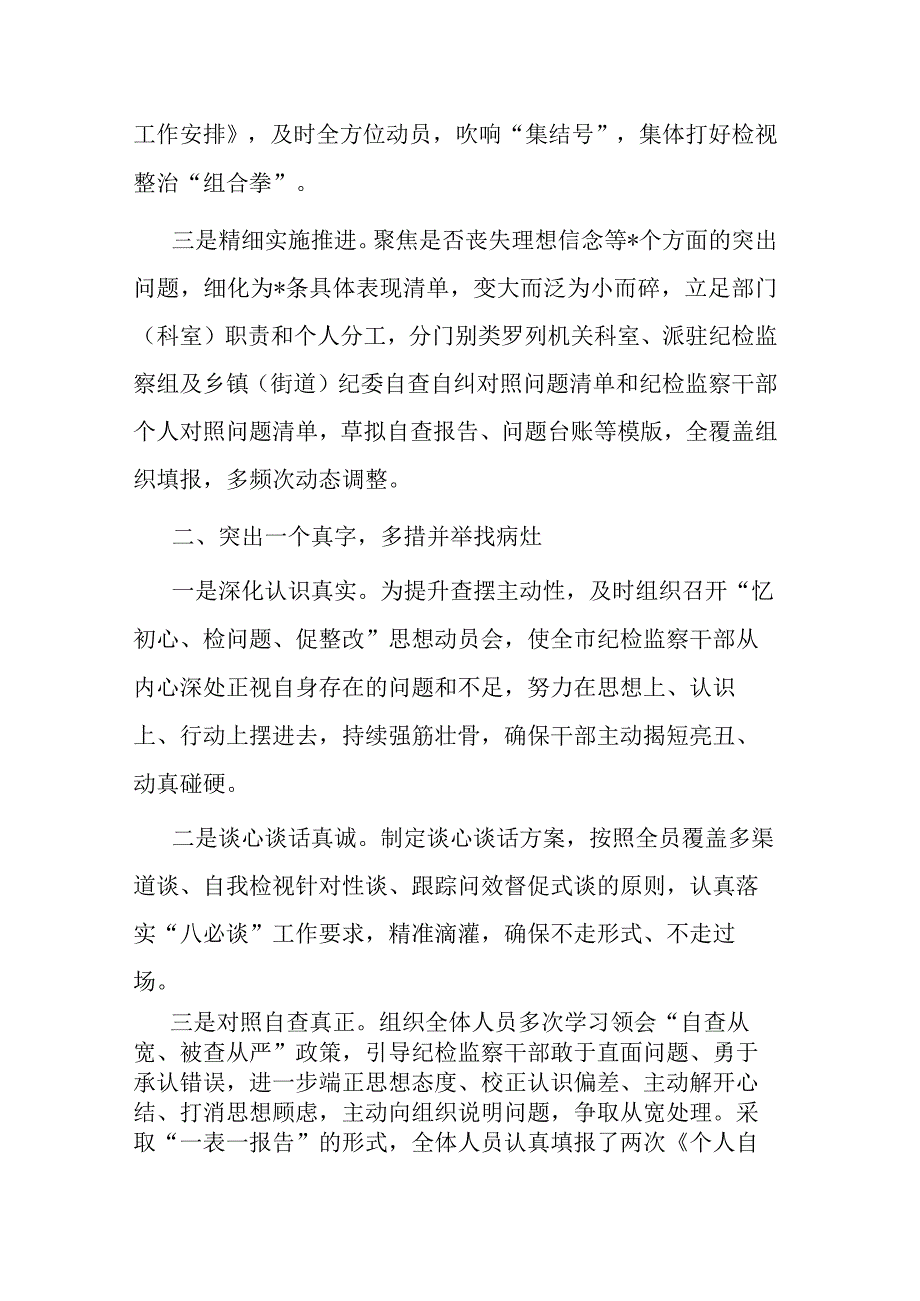 市纪委监委纪检监察干部队伍检视整改经验总结材料共二篇.docx_第2页