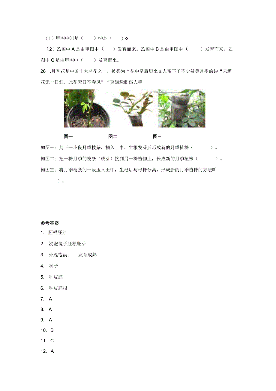 教科版科学四年级下册第一单元植物的生长变化同步练习含答案.docx_第3页