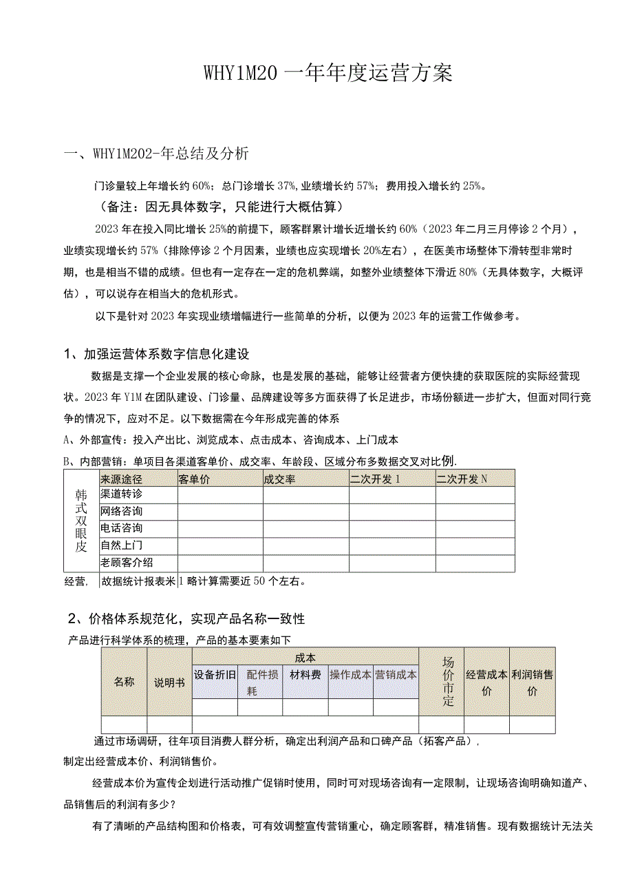 医美整形年度运营方案.docx_第1页