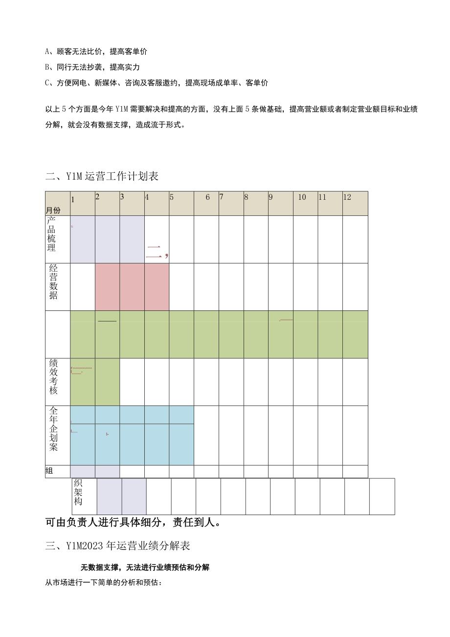 医美整形年度运营方案.docx_第3页