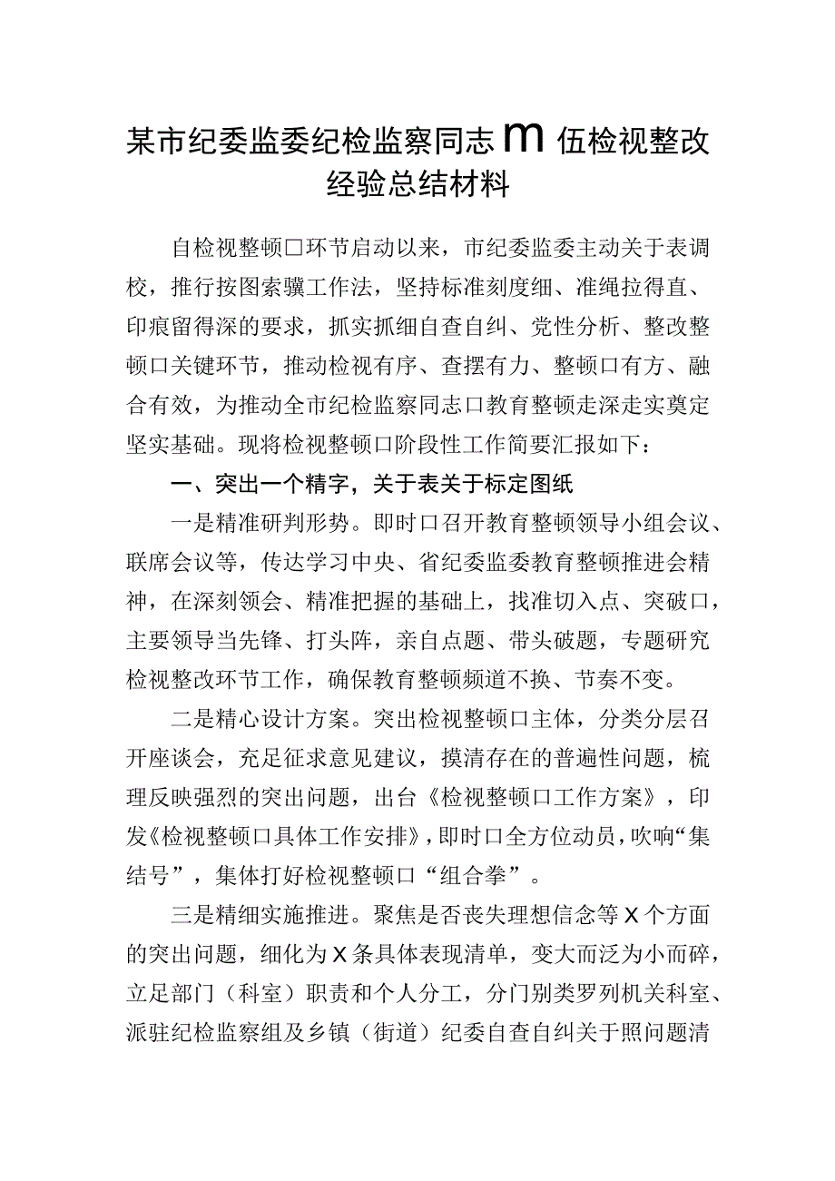 市纪委监委纪检监察干部队伍检视整改经验总结材料.docx_第1页