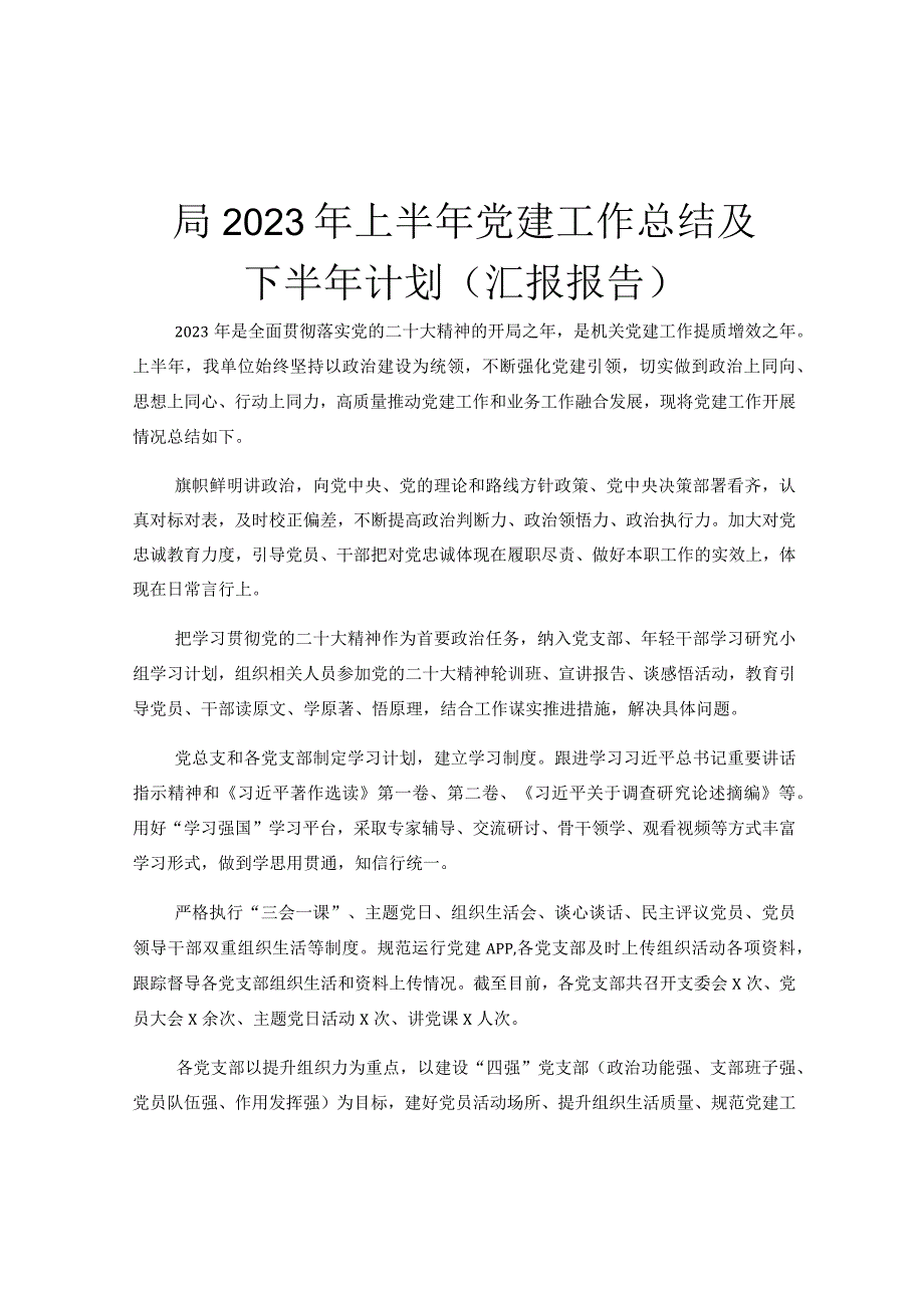 局2023年上半年党建工作总结及下半年计划汇报报告.docx_第1页