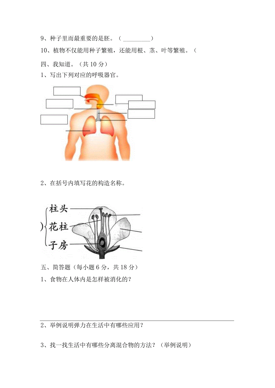 2023青岛版三年级科学下册期末试卷附答案.docx_第3页